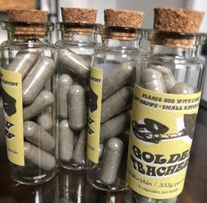 kjøp psilocybin sopp på nett i Norge